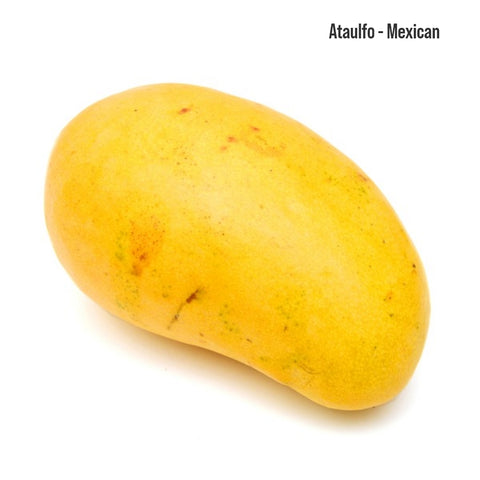 Premium Mangos
