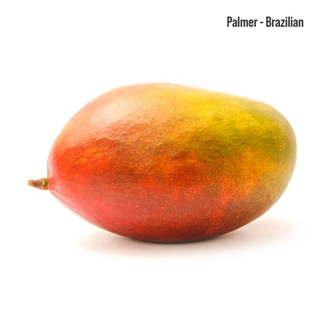 Premium Mangos
