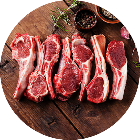 Lamb