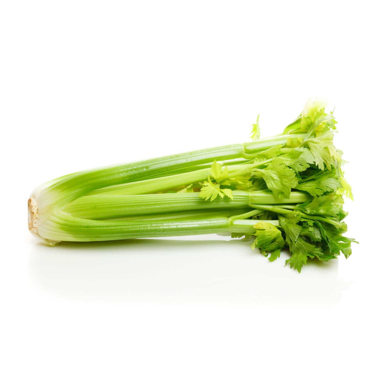Fresh Celery- Box of 24