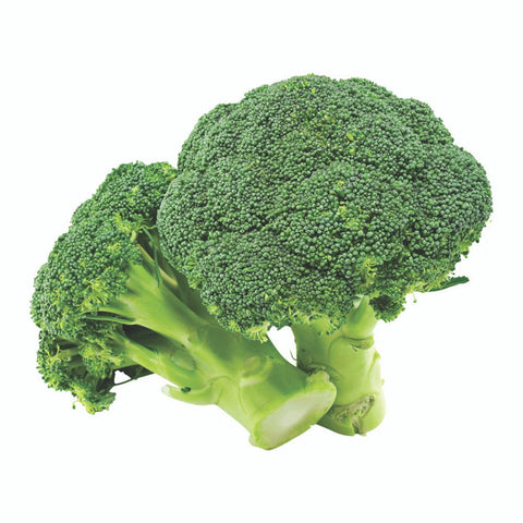 Fresh Broccoli
