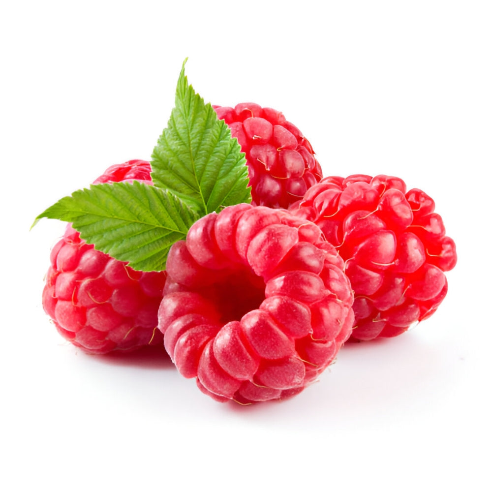 Fresh Raspberries – 12 Pack (6 oz each) – Kayma Foods