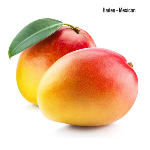 Premium Mangos