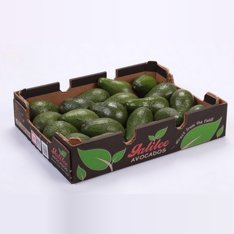 Hass Avocado Box – Pack of 12