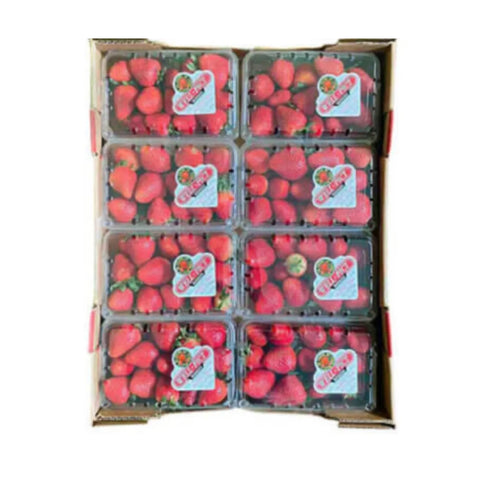 Strawberry Box – Bulk (8 Units, 1 lb Each)